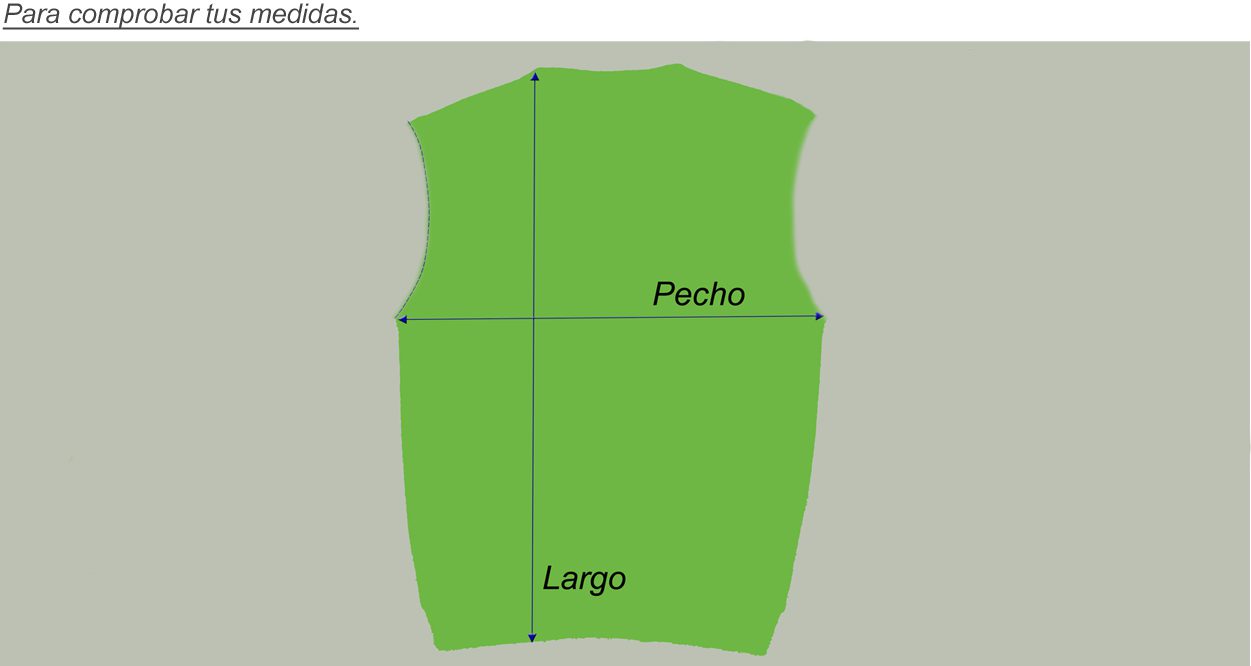 Pet Breed: Chaleco Lacoste. T-L