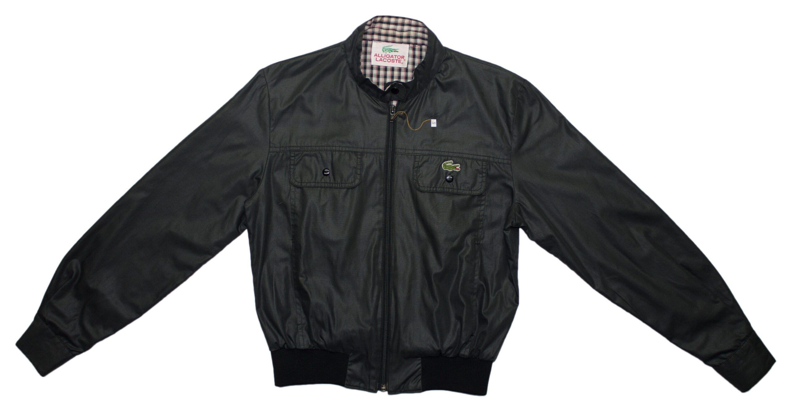 Pet Breed: Chaqueta Lacoste. T-XS