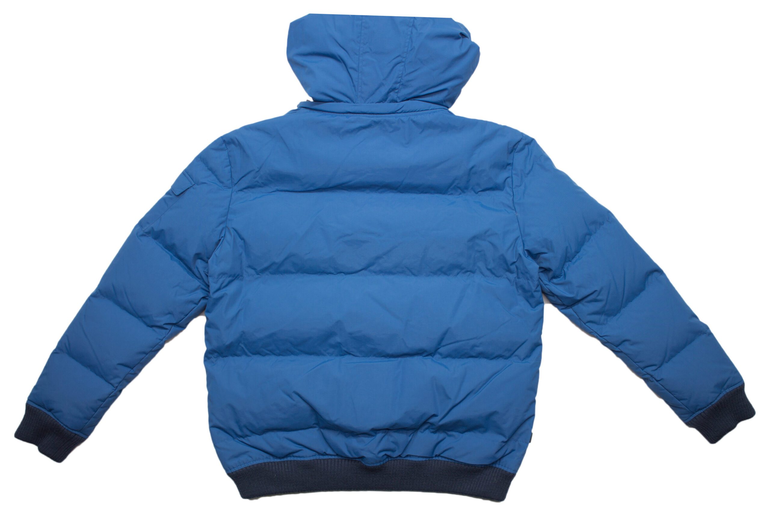 Pet Breed: Chaqueta Lacoste. T-XL