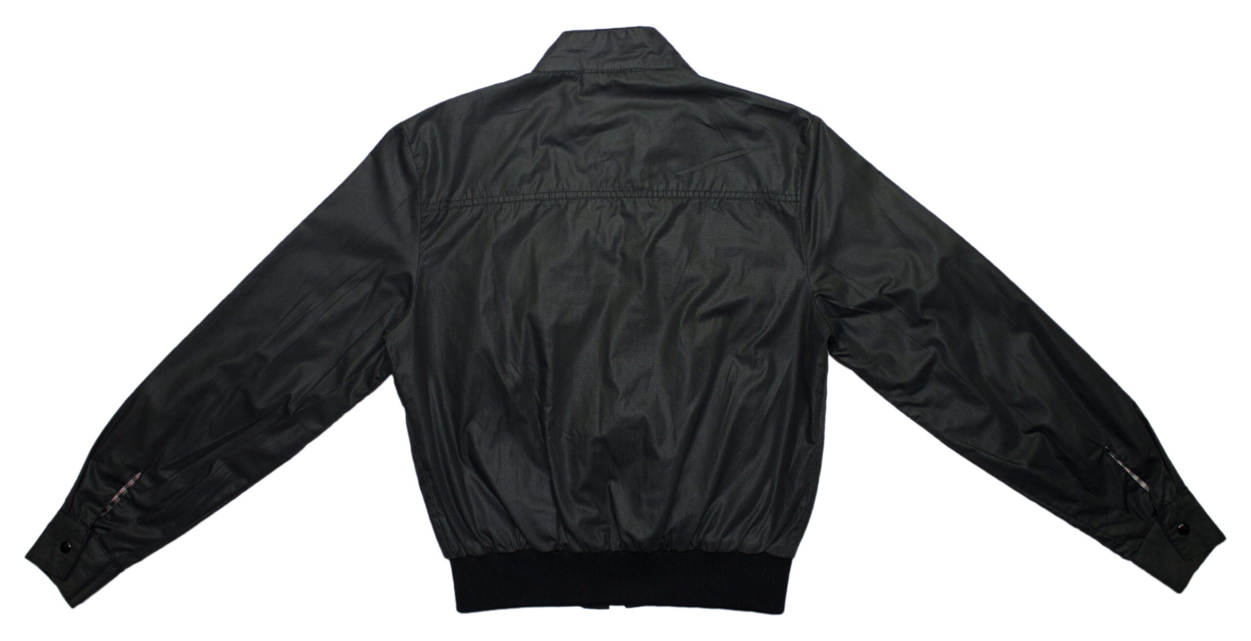 Pet Breed: Chaqueta Lacoste. T-XS