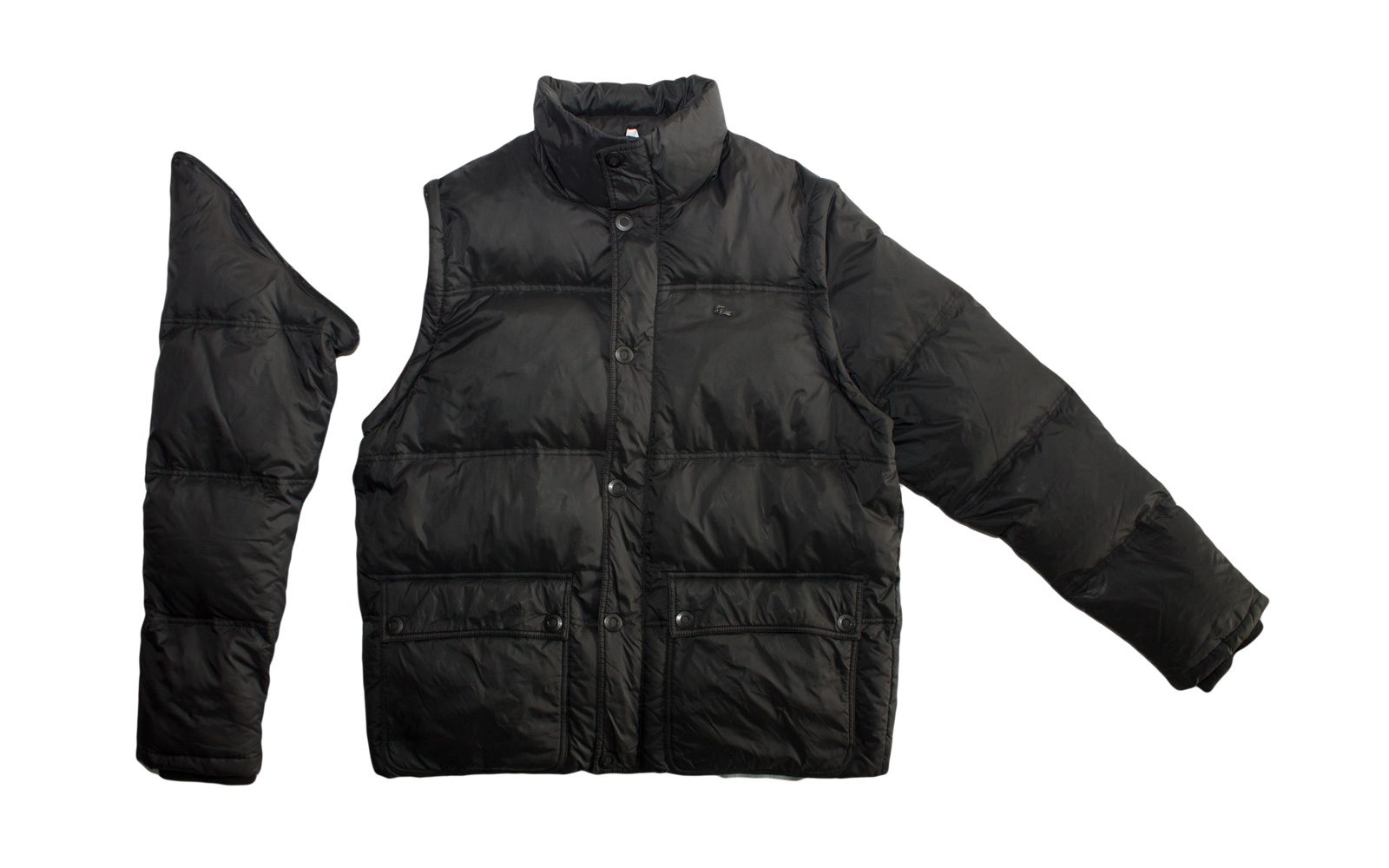 Pet Breed: Chaqueta Lacoste. T-L