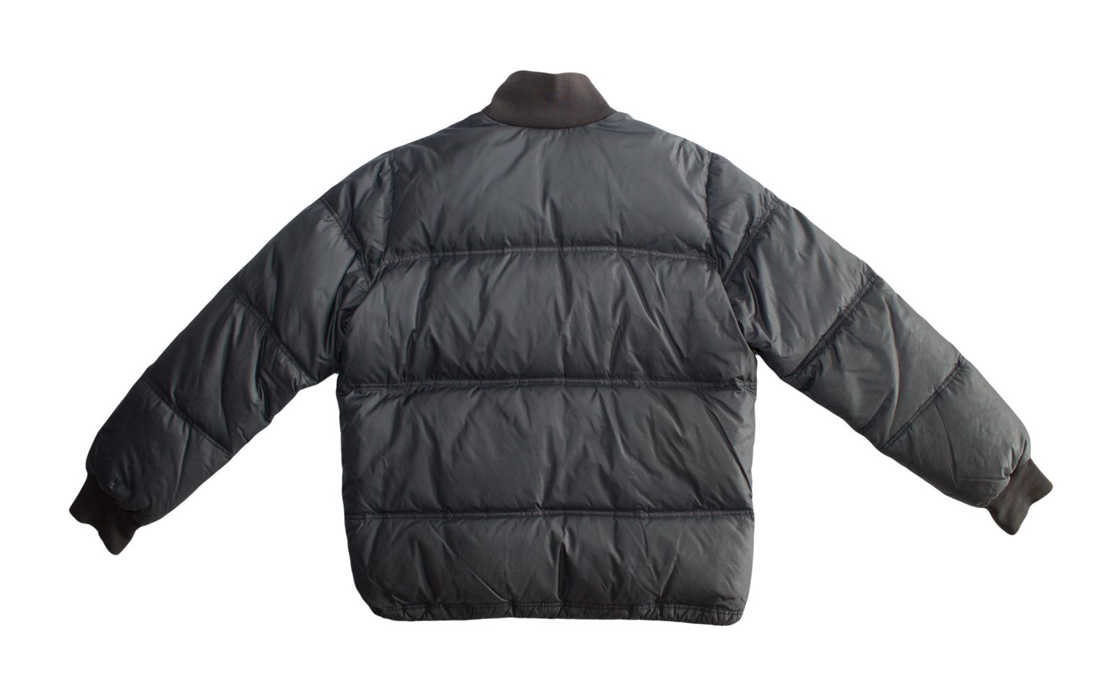 Pet Breed: Chaqueta Lacoste. T-M