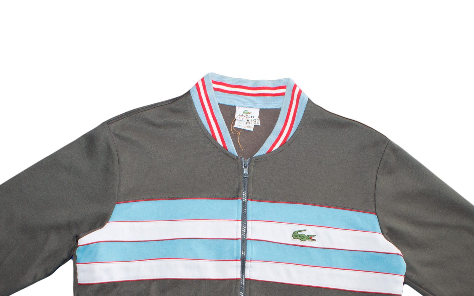 Pet Breed: Chaqueta Lacoste. T-M